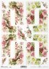 dzika róża, róże, aster, astry, rumianek, lato, łąka, ogród, polne kwiaty, bukiet, R861, wild rose, roses, asters, camomile, summer, meadow, garden, field flowers, bouquet, Wildrose, Rosen, Astern, Kamille, Sommer, Wiese, Garten, Feldblumen, Strauß, rosa 